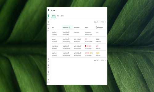 Spring Health Screenshot 3